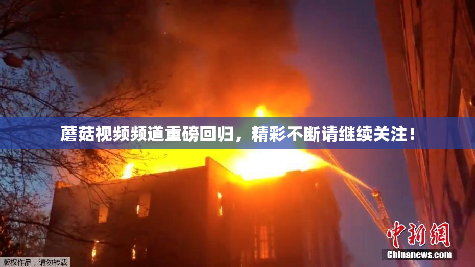 蘑菇视频频道重磅回归，精彩不断请继续关注！