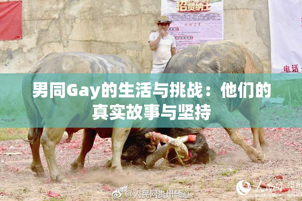 男同Gay的生活与挑战：他们的真实故事与坚持