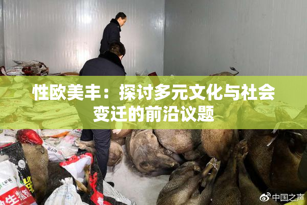 性欧美丰：探讨多元文化与社会变迁的前沿议题