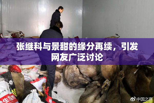 张继科与景甜的缘分再续，引发网友广泛讨论