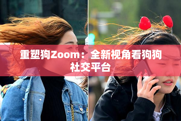 重塑狗Zoom：全新视角看狗狗社交平台