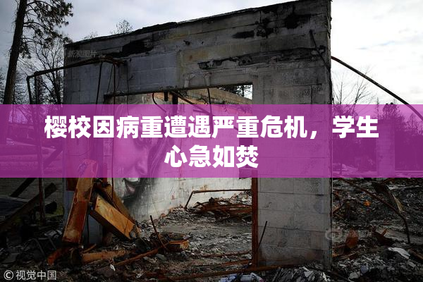 樱校因病重遭遇严重危机，学生心急如焚