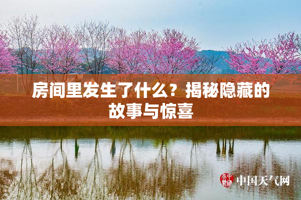 房间里发生了什么？揭秘隐藏的故事与惊喜