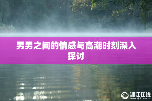 男男之间的情感与高潮时刻深入探讨