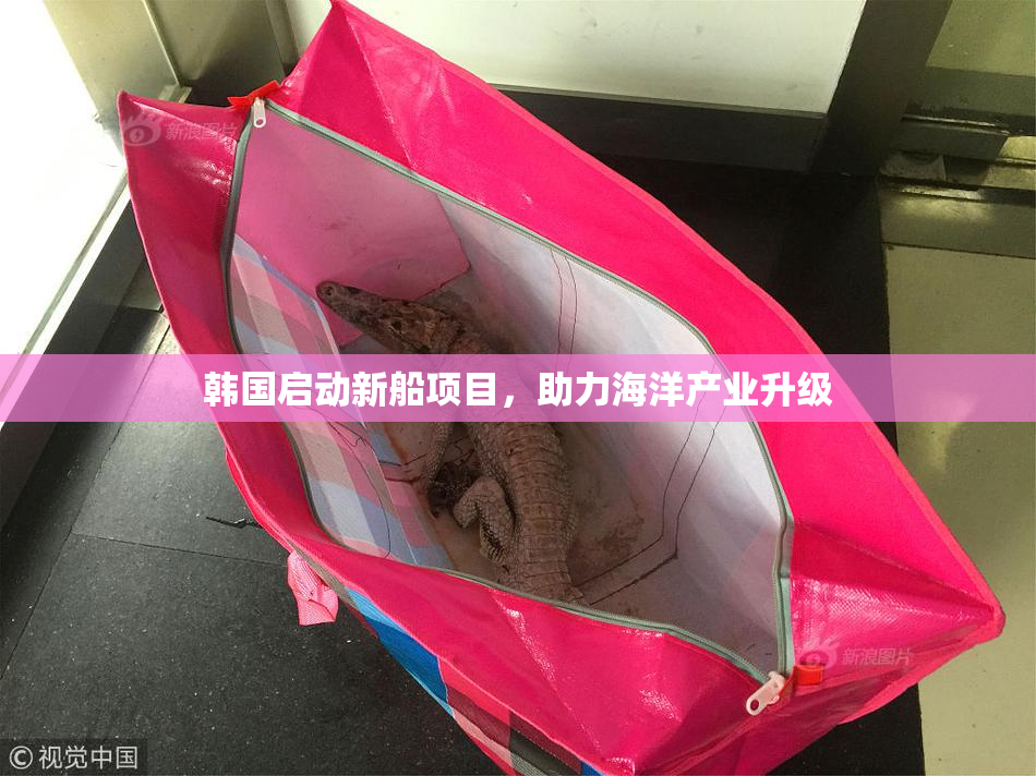 韩国启动新船项目，助力海洋产业升级