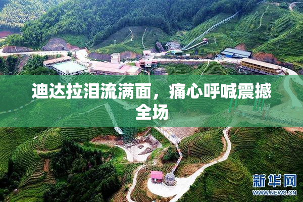迪达拉泪流满面，痛心呼喊震撼全场