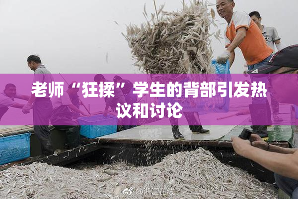 老师“狂揉”学生的背部引发热议和讨论