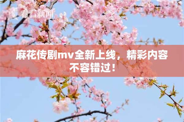 麻花传剧mv全新上线，精彩内容不容错过！