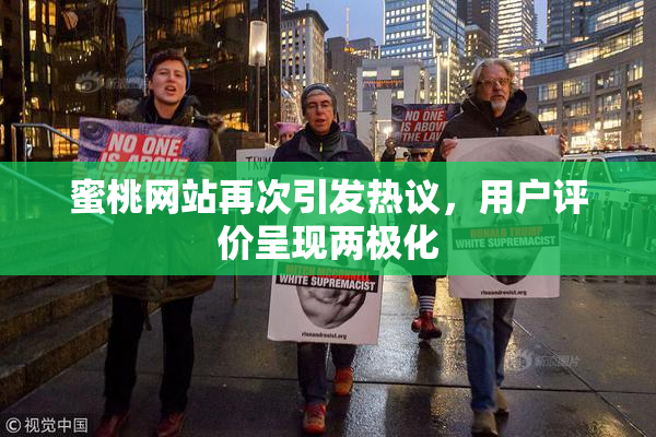 蜜桃网站再次引发热议，用户评价呈现两极化