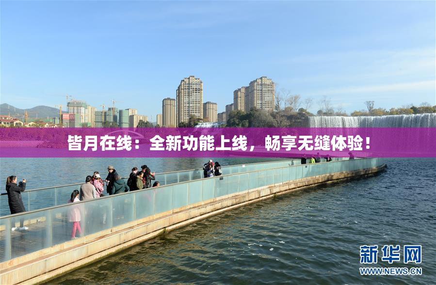 皆月在线：全新功能上线，畅享无缝体验！