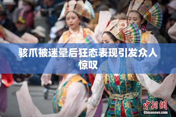 骇爪被迷晕后狂态表现引发众人惊叹