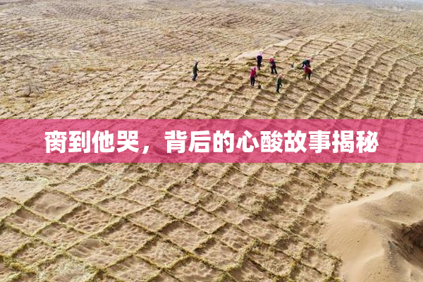 脔到他哭，背后的心酸故事揭秘