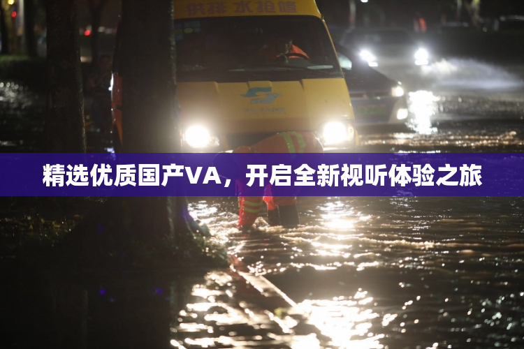 精选优质国产VA，开启全新视听体验之旅