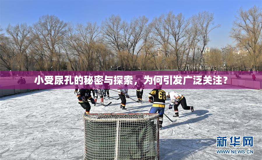 小受尿孔的秘密与探索，为何引发广泛关注？