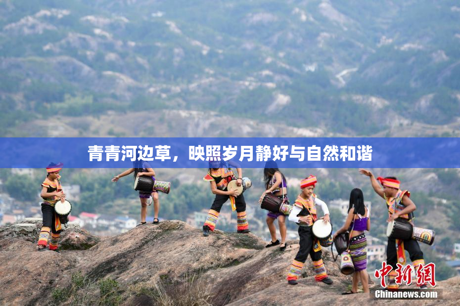 青青河边草，映照岁月静好与自然和谐