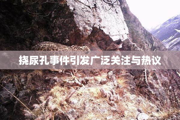 挠尿孔事件引发广泛关注与热议