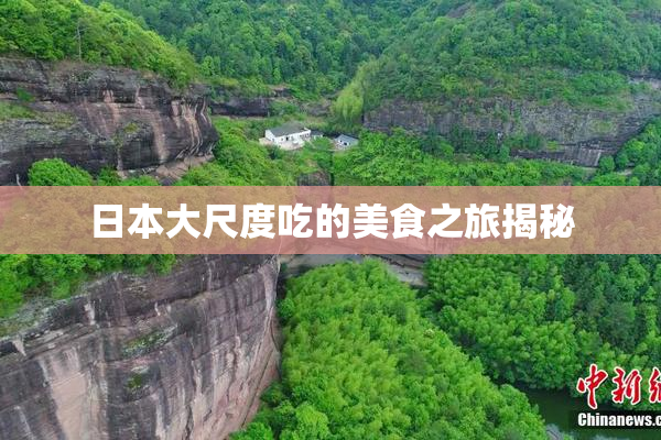 日本大尺度吃的美食之旅揭秘