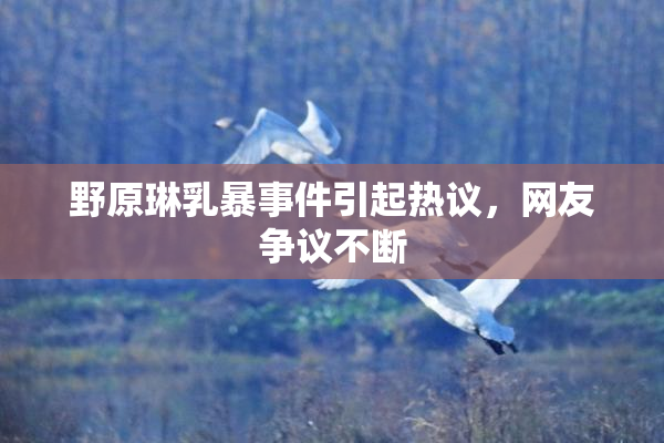 野原琳乳暴事件引起热议，网友争议不断