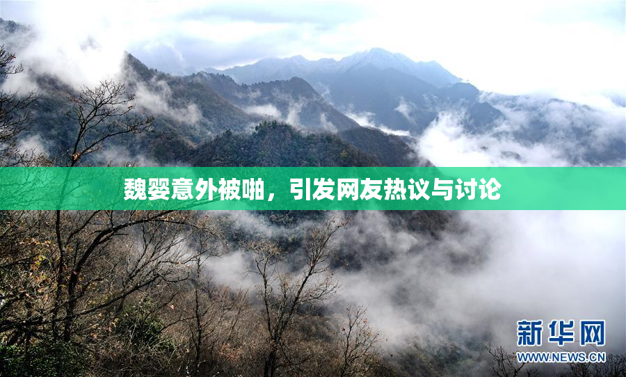 魏婴意外被啪，引发网友热议与讨论