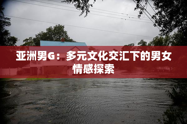 亚洲男G：多元文化交汇下的男女情感探索