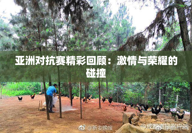 亚洲对抗赛精彩回顾：激情与荣耀的碰撞