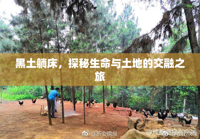 黑土躺床，探秘生命与土地的交融之旅