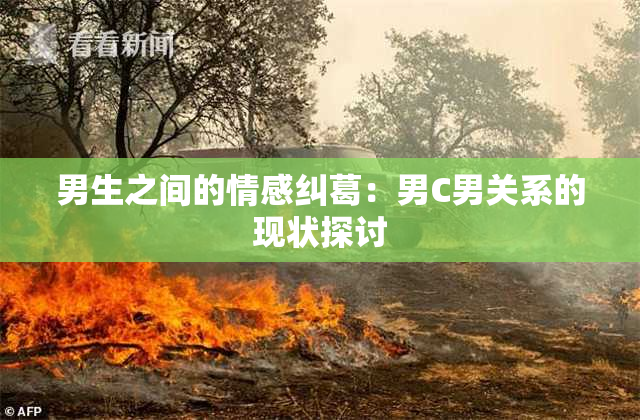 男生之间的情感纠葛：男C男关系的现状探讨