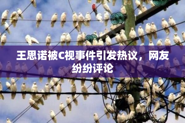 王思诺被C视事件引发热议，网友纷纷评论