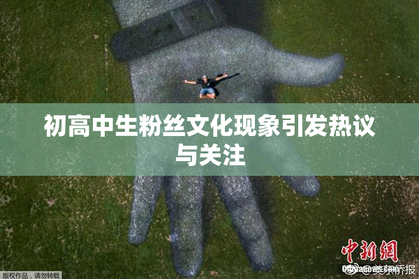 初高中生粉丝文化现象引发热议与关注