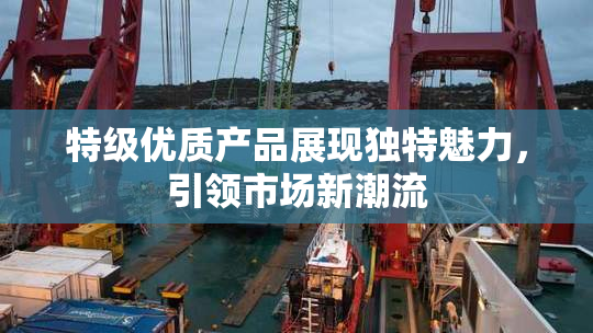 特级优质产品展现独特魅力，引领市场新潮流