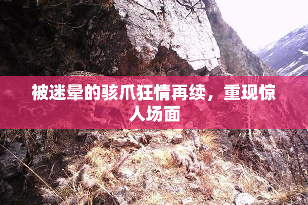 被迷晕的骇爪狂情再续，重现惊人场面
