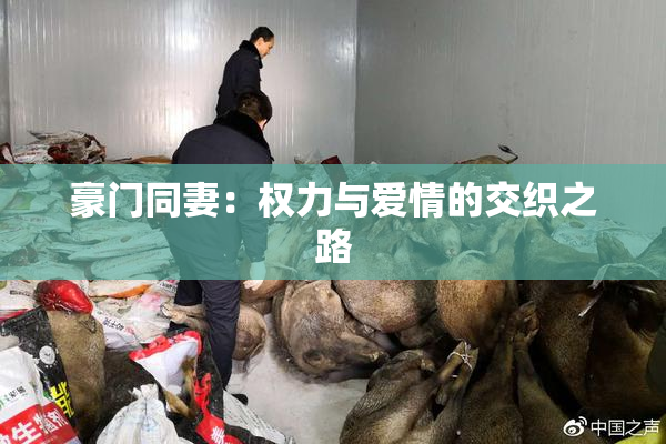 豪门同妻：权力与爱情的交织之路