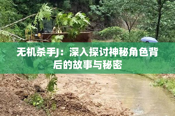 无机杀手J：深入探讨神秘角色背后的故事与秘密