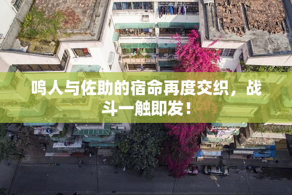 鸣人与佐助的宿命再度交织，战斗一触即发！
