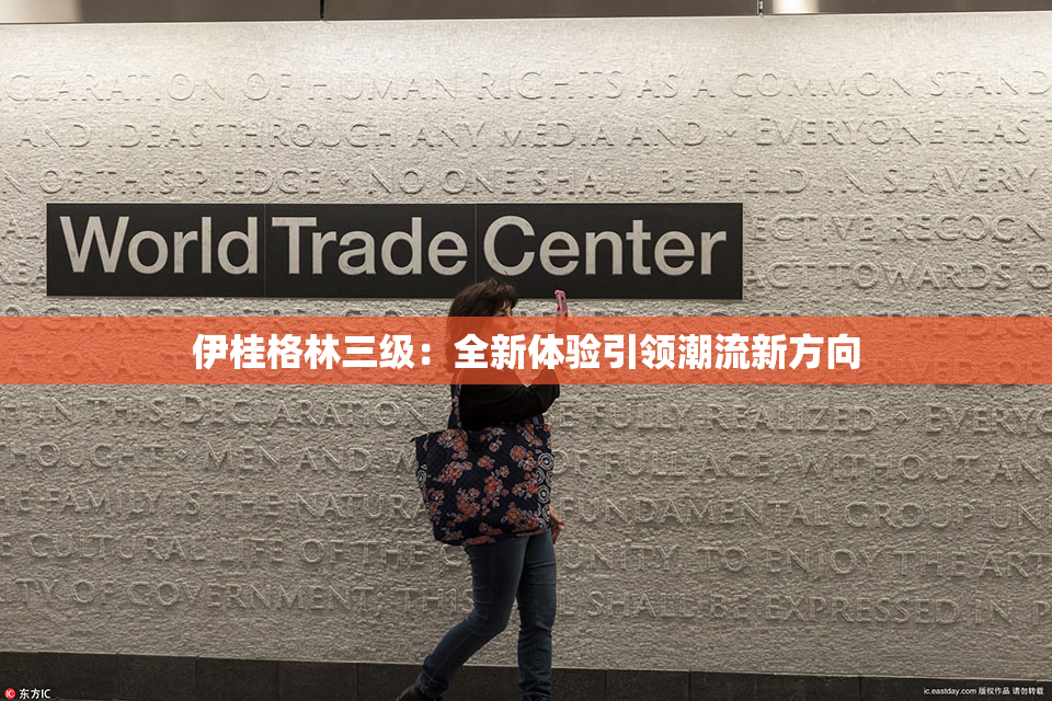 伊桂格林三级：全新体验引领潮流新方向