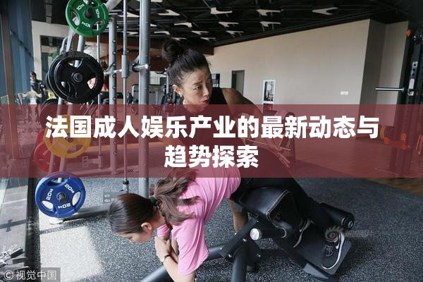 法国成人娱乐产业的最新动态与趋势探索