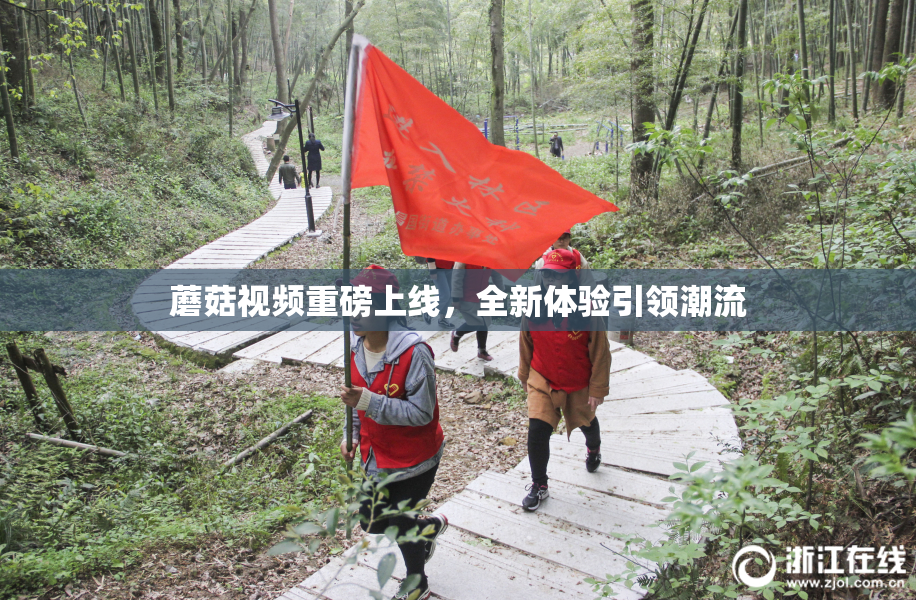 蘑菇视频重磅上线，全新体验引领潮流