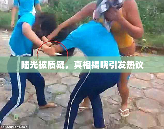 陆光被质疑，真相揭晓引发热议