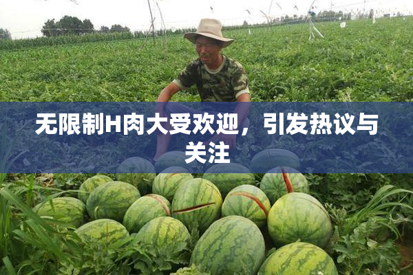 无限制H肉大受欢迎，引发热议与关注