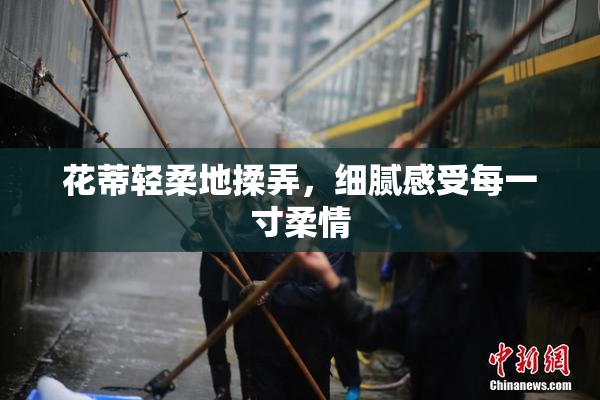 花蒂轻柔地揉弄，细腻感受每一寸柔情