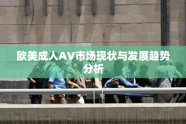 欧美成人AV市场现状与发展趋势分析