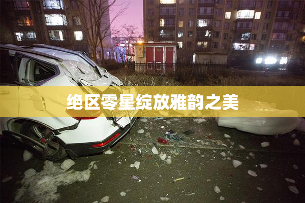 绝区零星绽放雅韵之美