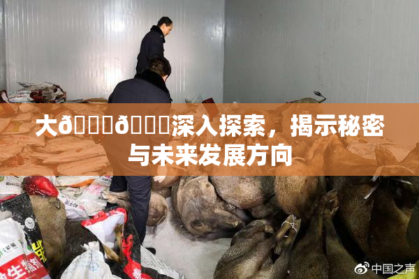 大🐔🐔深入探索，揭示秘密与未来发展方向