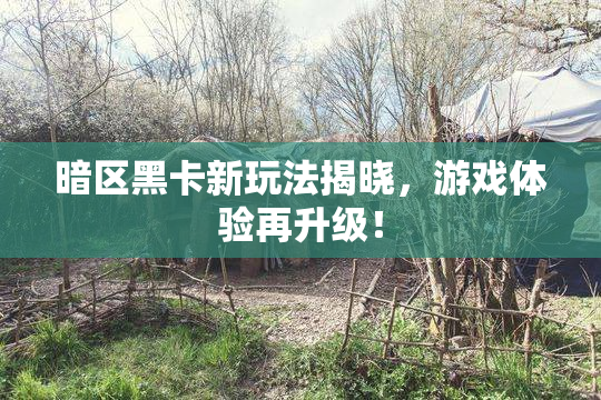 暗区黑卡新玩法揭晓，游戏体验再升级！