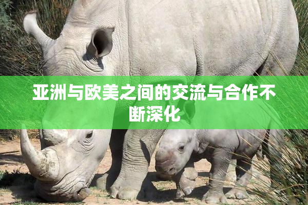 亚洲与欧美之间的交流与合作不断深化