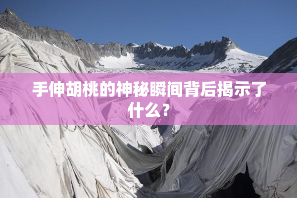手伸胡桃的神秘瞬间背后揭示了什么？