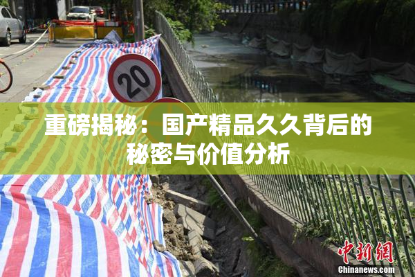 重磅揭秘：国产精品久久背后的秘密与价值分析