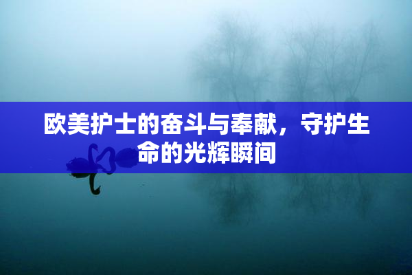 欧美护士的奋斗与奉献，守护生命的光辉瞬间