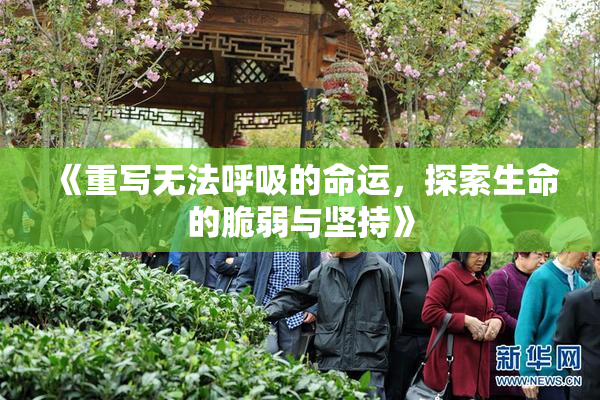 《重写无法呼吸的命运，探索生命的脆弱与坚持》