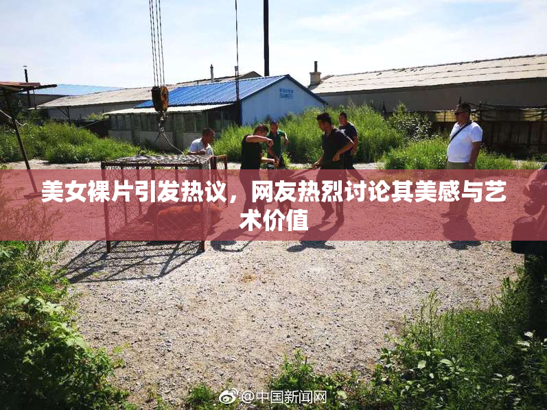 美女裸片引发热议，网友热烈讨论其美感与艺术价值